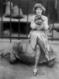 Turtle and Make-Up