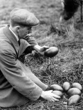 Emu Eggs