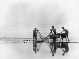 Fishing Nets