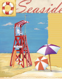 Lifeguard Collage I