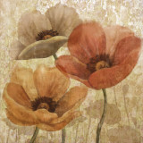 Poppy Allure II