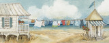 Fresh Laundry I