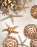Nautical Illuminations No3