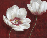 Prized Blooms I