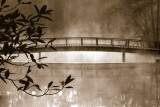 Callaway Garden Pond