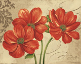 Colori I