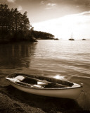 Sucia Island
