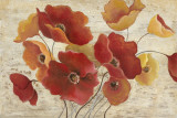 Flanders Field