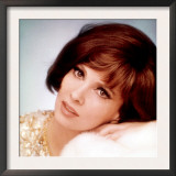 Gina Lollobrigida  1960s