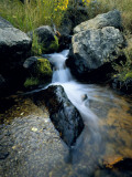 North Creek Tumbles Through Boulders  Schell Creek Range  Mt Grafton Wilderness  Nevada  USA