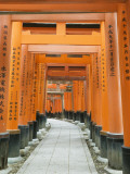 The ThoUSAnd Gates at Fushimi Inari Taisha  Kyoto  Japan