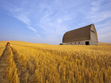 Woman Photographing Barn Near Pullman  Washington  USA