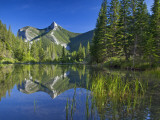 Wind Mountain Reflects in a Beaver Pond in the Lewis and Clark National Forest  Montana  USA