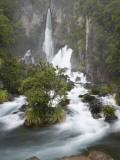 Tarawera Falls  Tarawera River  North Island  New Zealand