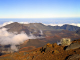 Haleakala Crater From Crater Rim and Silversword in Foreground Haleakala National Park  Maui  HI