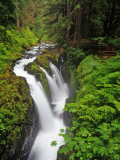 Sol Duc Falls in Olympic National Park  Washington  USA
