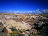 Blue Mesa Overlook  Petrified Forest National Park  Arizona  USA
