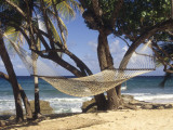 Hammock Tied Between Trees  North Shore Beach  St Croix  US Virgin Islands