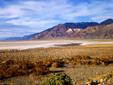 Mesquite and the Black Mountains of the Amaragosa Range  Death Valley National Park  CA