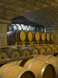 Barrels in Cellar at Chateau Changyu-Castel  Shandong Province  China
