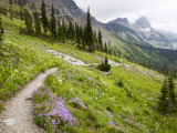 Highline Trail To Granite Park Chalet  Glacier National Park  Montana  USA