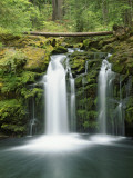 View of Whitehorse Falls  Umpqua National Forest  Oregon  USA