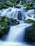 Periodic Spring During Period of High Flow  Salt River Range  Bridger-Teton National Forest  WY