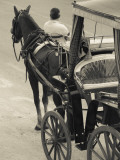 Horse Carriages at Pinto Wharf  Floriana  Valletta  Malta