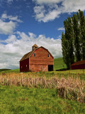 A Ride Through the Farm Country of Palouse  Washington State  USA