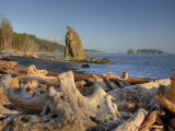 Seastack and James Island  Rialto Beach  Olympic National Park  Washington  USA