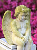 Statue of a Cherub in Bonaventure Cemetery  Savannah  Georgia  USA