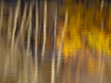 Autumn Colors Reflect in the Calm Water of Price Lake  Blue Ridge Parkway  North Carolina  USA