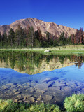 Sawtooth Mountains Reflected in Fourth of July Lake  Idaho  USA