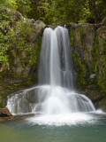 Waiau Waterfall Near 309 Road  Coromandel Peninsula  North Island  New Zealand