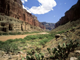 Looking Downriver From Nankoweap Canyon  Grand Canyon National Park  Arizona  USA