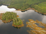 Aerial View of Forested Coastline  Ketchikan  Alaska  USA