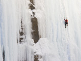 Ice Climber on Weeping Wall Above the Icefields Parkway  Banff National Park  Alberta  Canada