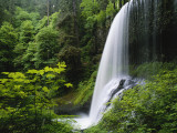 Middle North Falls  Silver Falls State Park  Oregon  USA