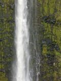 Akaka Falls  Hamakua Coast  Hawaii  USA