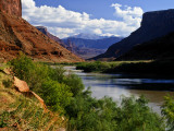 River Valley With View of Fisher Towers and La Sal Mountains  Utah  USA