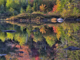 Shoreline Reflection  Lily Pond  White Mountain National Forest  New Hampshire  USA
