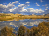 Swan Lake Reflects Clouds and Gallatin Mountain Range  Yellowstone National Park  Wyoming  USA