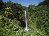 Akaka Falls State Park  Hawaii  USA