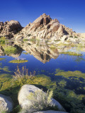 Barker Dam  Joshua Tree National Park  California  USA
