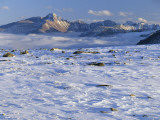 Wind-Blown Snow & Longs Peak Above Clouds  Rocky Mountains  Colorado  USA