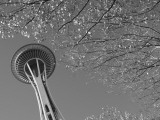 Space Needle  Seattle  Washington  USA