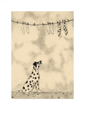 Spotty Dog and Socks