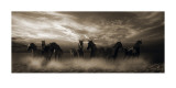 Wild Stampede