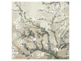 Almond Branches in Bloom  San Remy  c1890 (tan)