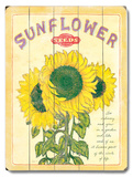 Sunflower Seeds